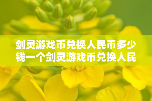剑灵游戏币兑换人民币多少钱一个剑灵游戏币兑换人民币多少钱图片