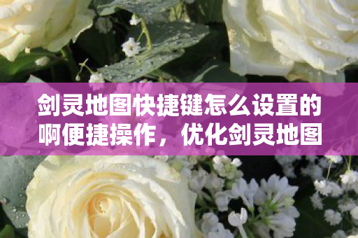 剑灵地图快捷键怎么设置的啊便捷操作图片