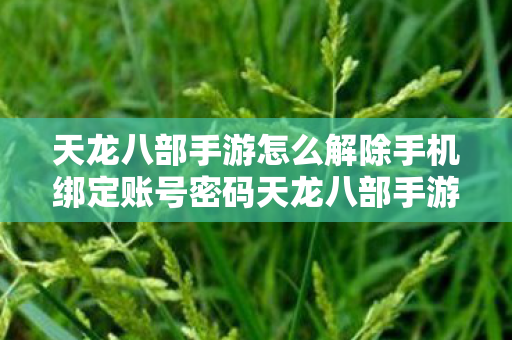 天龙八部手游怎么解除手机绑定账号密码天龙八部手游怎么解除手机绑定账号图片
