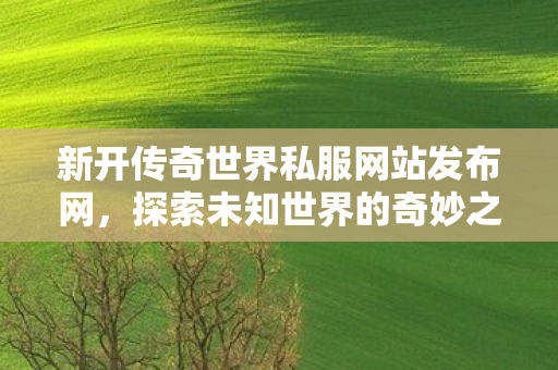 新开传奇世界私服网站发布网图片