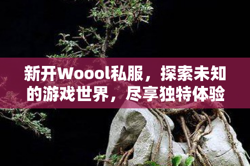 新开Woool私服，探索未知的游戏世界，尽享独特体验，Woool私服开启，探索未知游戏世界，尽享独特游戏体验