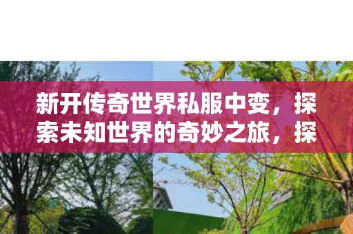 探索新开传奇世界私服中变图片
