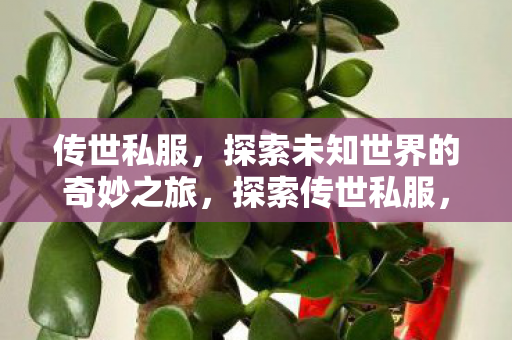 传世私服，探索未知世界的奇妙之旅，探索传世私服，开启未知世界的奇妙旅程