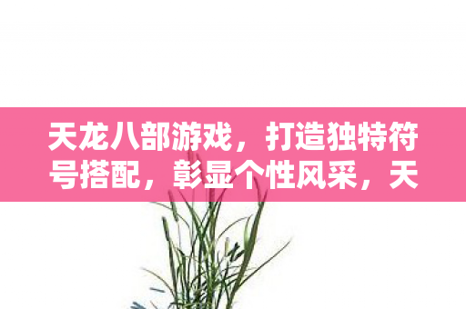 天龙八部游戏，打造独特符号搭配，彰显个性风采，天龙八部游戏，打造独特符号搭配，彰显个性风采