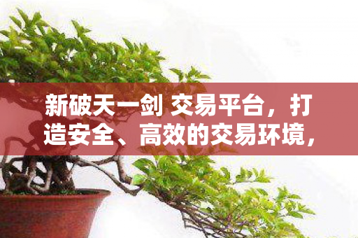 新破天一剑 交易平台图片