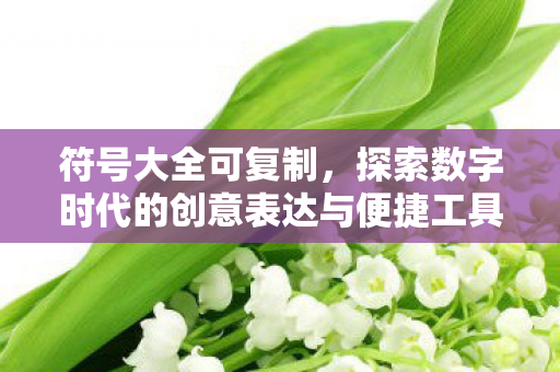 符号大全可复制,探索数字时代的创意表达与便捷工具,探索数字时代的创意表达与便捷工具,符号大全可复制 符号大全可复制,探索数字时代的创意表达与便捷工具,探索数字时代的创意表达与便捷工具,符号大全可复制