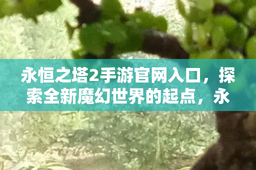 永恒之塔2手游官网入口图片