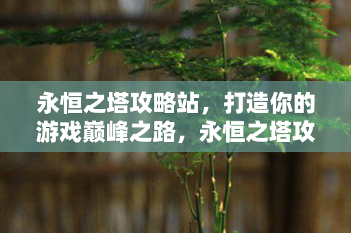 打造你的游戏巅峰之路图片