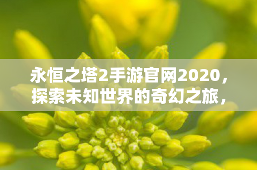 永恒之塔2手游官网2020图片