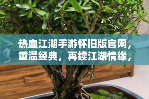 热血江湖手游怀旧版官网，重温经典，再续江湖情缘，热血江湖手游怀旧版官网，重温经典，再续江湖情缘