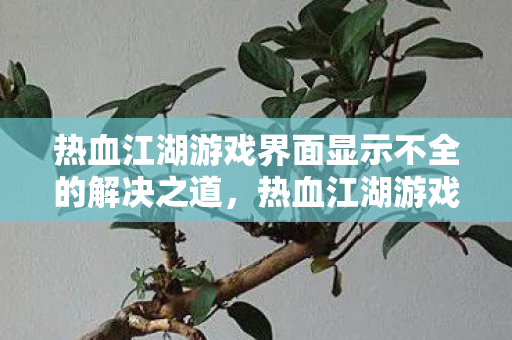 热血江湖游戏界面显示不全的解决之道，热血江湖游戏界面显示不全的解决方法