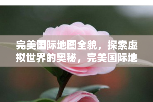 探索虚拟世界的奥秘图片