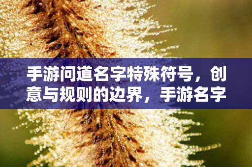 手游问道名字特殊符号，创意与规则的边界，手游名字特殊符号，创意与规则的边界