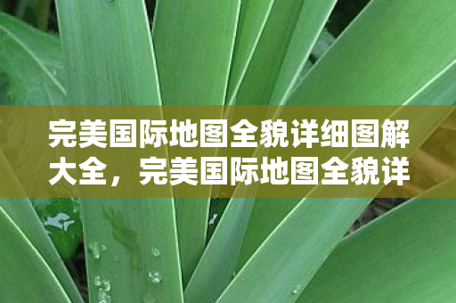 完美国际地图全貌详细图解大全图片