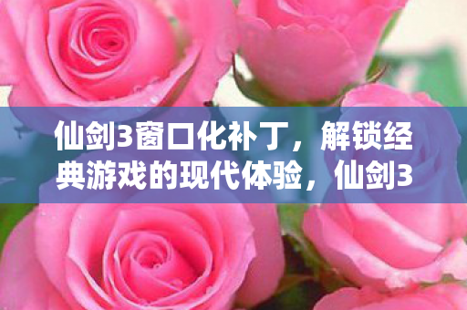 解锁经典游戏的现代体验图片