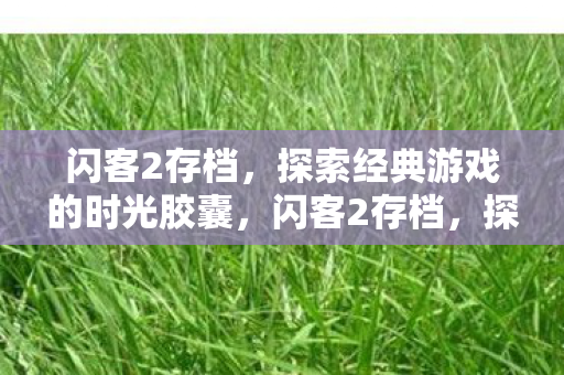 闪客2存档,探索经典游戏的时光胶囊,闪客2存档,探索经典游戏的时光胶囊 闪客2存档,探索经典游戏的时光胶囊,闪客2存档,探索经典游戏的时光胶囊