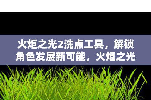 火炬之光2洗点工具，解锁角色发展新可能，火炬之光2洗点工具，解锁角色发展新可能