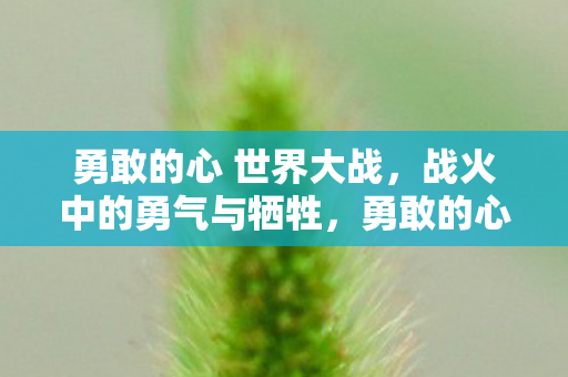勇敢的心 世界大战，战火中的勇气与牺牲，勇敢的心见证世界大战中的勇气与牺牲