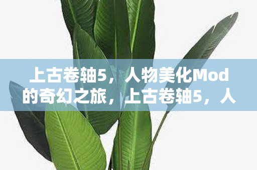 人物美化Mod的奇幻之旅图片