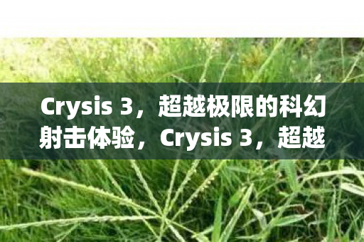 Crysis 3,超越极限的科幻射击体验,Crysis 3,超越极限的科幻射击盛宴 Crysis 3,超越极限的科幻射击体验,Crysis 3,超越极限的科幻射击盛宴