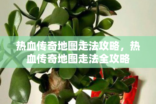 热血传奇地图走法全攻略图片