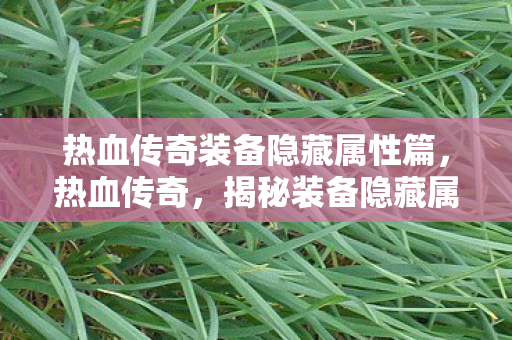 热血传奇装备隐藏属性篇图片