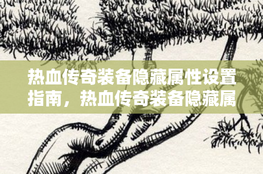 热血传奇装备隐藏属性设置指南图片