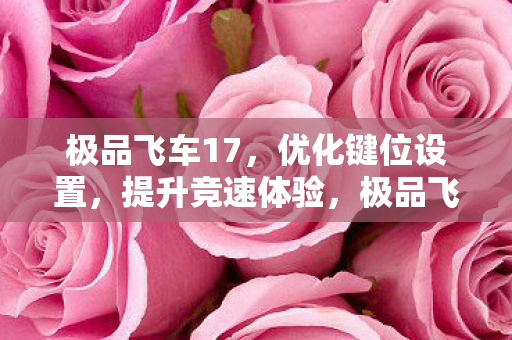 极品飞车17,优化键位设置,提升竞速体验,极品飞车17,优化键位设置,畅享极速竞速体验 极品飞车17,优化键位设置,提升竞速体验,极品飞车17,优化键位设置,畅享极速竞速体验