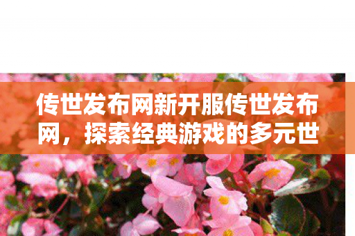 传世发布网新开服传世发布网，探索经典游戏的多元世界，探索多元世界，传世发布网新开服等你来战