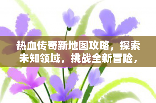 热血传奇新地图攻略，探索未知领域，挑战全新冒险，热血传奇新地图探索指南，挑战未知领域，开启全新冒险