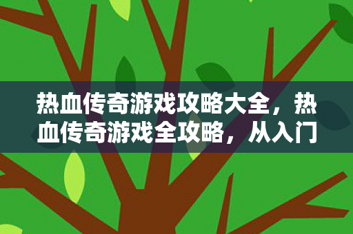 热血传奇游戏攻略大全，热血传奇游戏全攻略，从入门到精通