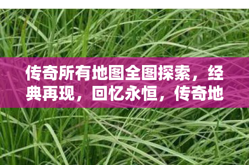 传奇所有地图全图探索,经典再现,回忆永恒,传奇地图全探索,重温经典,回忆永恒 传奇所有地图全图探索,经典再现,回忆永恒,传奇地图全探索,重温经典,回忆永恒