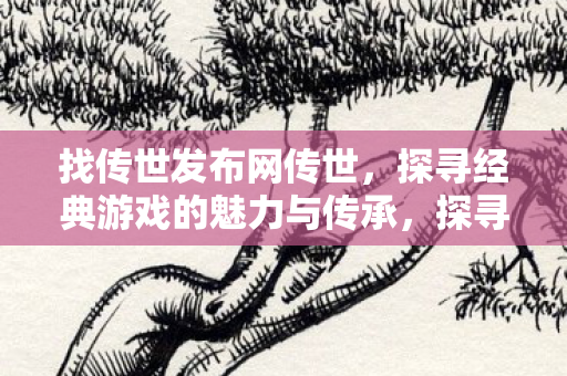 找传世发布网传世，探寻经典游戏的魅力与传承，探寻传世发布网经典游戏的魅力与传承