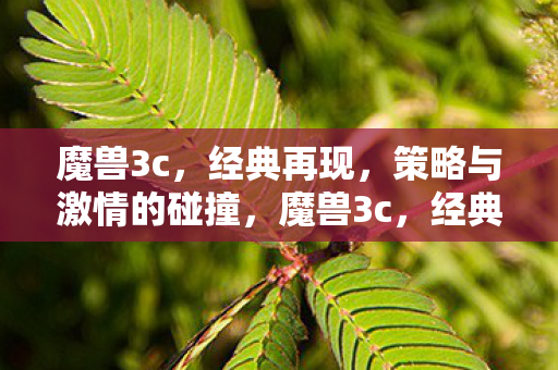 魔兽3c，经典再现，策略与激情的碰撞，魔兽3c，经典再现，策略与激情的碰撞