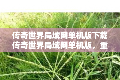 传奇世界局域网单机版下载传奇世界局域网单机版，重温经典，尽享单机乐趣，传奇世界局域网单机版，重温经典，尽享单机乐趣
