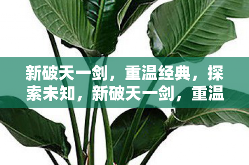 探索未知之旅图片