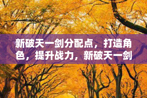 新破天一剑分配点图片