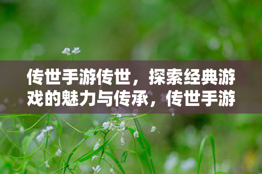 传世手游传世，探索经典游戏的魅力与传承，传世手游传世，探索经典游戏的魅力与传承
