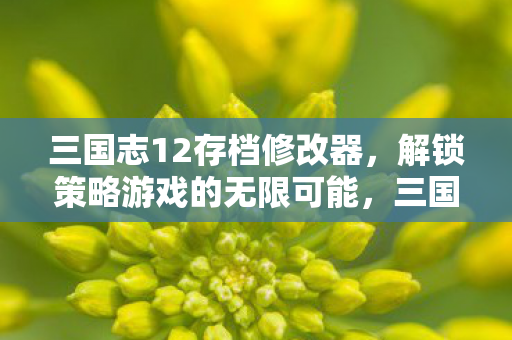 三国志12存档修改器，解锁策略游戏的无限可能，三国志12存档修改器，解锁策略游戏的无限可能