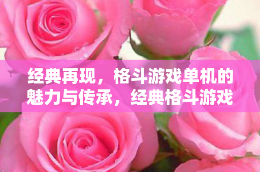 经典再现,格斗游戏单机的魅力与传承,经典格斗游戏单机的魅力与传承 经典再现,格斗游戏单机的魅力与传承,经典格斗游戏单机的魅力与传承