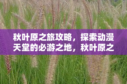 秋叶原之旅攻略，探索动漫天堂的必游之地，秋叶原之旅攻略，解锁动漫天堂的必游之地