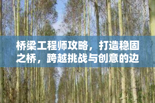 桥梁工程师攻略,打造稳固之桥,跨越挑战与创意的边界,桥梁工程师,打造稳固之桥,跨越挑战与创意的边界 桥梁工程师攻略,打造稳固之桥,跨越挑战与创意的边界,桥梁工程师,打造稳固之桥,跨越挑战与创意的边界