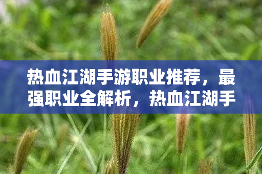 热血江湖手游职业推荐,最强职业全解析,热血江湖手游最强职业全解析 热血江湖手游职业推荐,最强职业全解析,热血江湖手游最强职业全解析