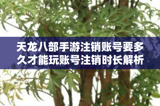 天龙八部手游注销账号要多久才能玩账号注销时长解析图片