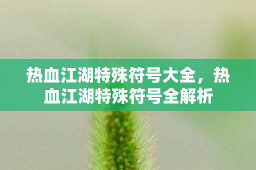 热血江湖特殊符号大全，热血江湖特殊符号全解析