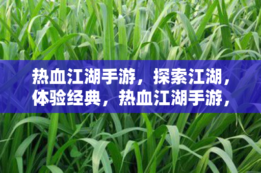 热血江湖手游图片