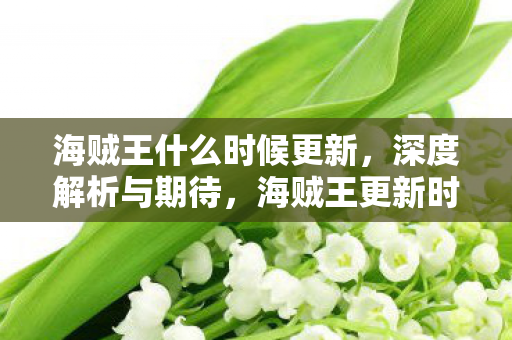 海贼王什么时候更新，深度解析与期待，海贼王更新时间与期待，深度解析