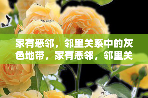家有恶邻,邻里关系中的灰色地带,家有恶邻,邻里关系中的灰色地带 家有恶邻,邻里关系中的灰色地带,家有恶邻,邻里关系中的灰色地带