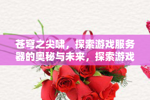 苍穹之尖啸，探索游戏服务器的奥秘与未来，探索游戏服务器未来，苍穹之尖啸揭秘奥秘