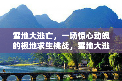 雪地大逃亡，一场惊心动魄的极地求生挑战，雪地大逃亡，极地求生挑战